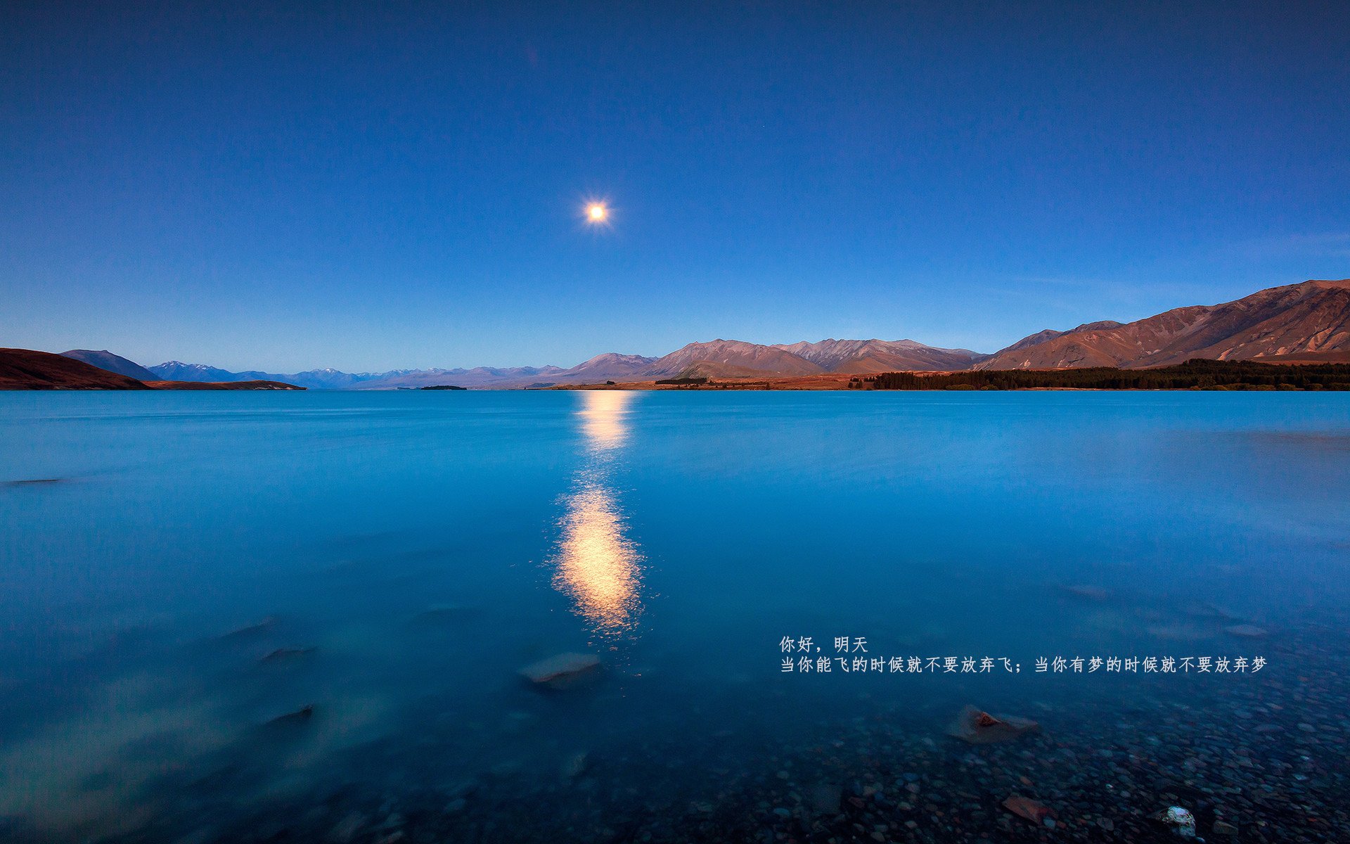 最冷门对决的灼热证明,当吉林队武切维奇用火热状态点燃不可能