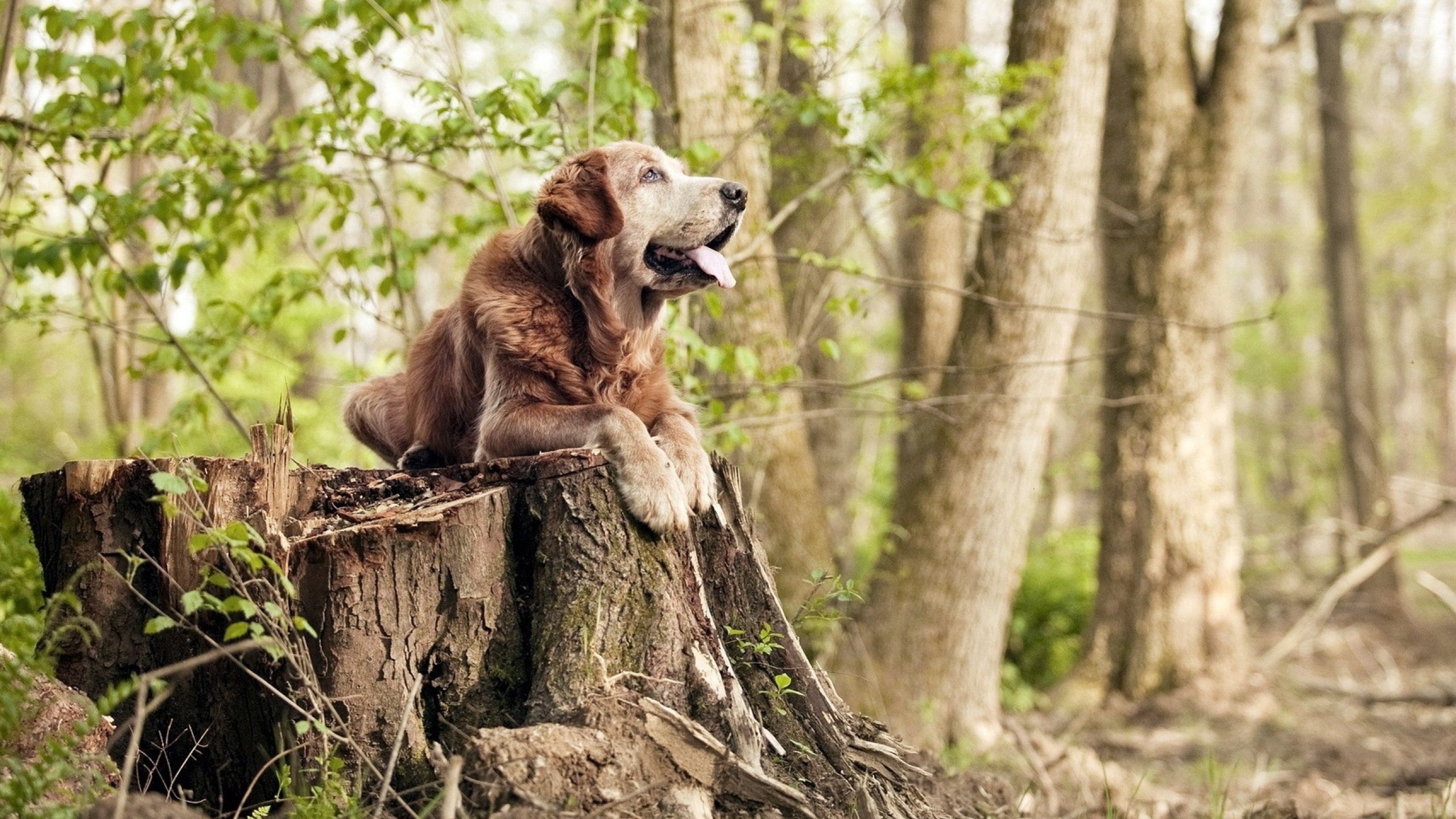绝境救赎!巴雷拉以一己之力导演波兰史诗级翻盘